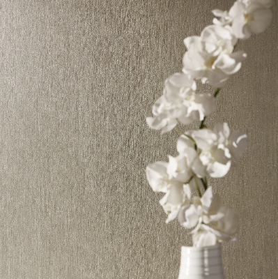 301391-301398-Architects-Paper-a-brand-of-A-S-Création-Tapeten-359223-reldfc3e537.jpg